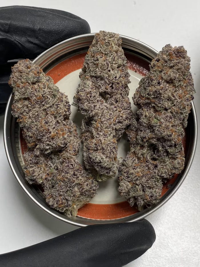 Cipher Genetics Red Reaper Fem 3St.