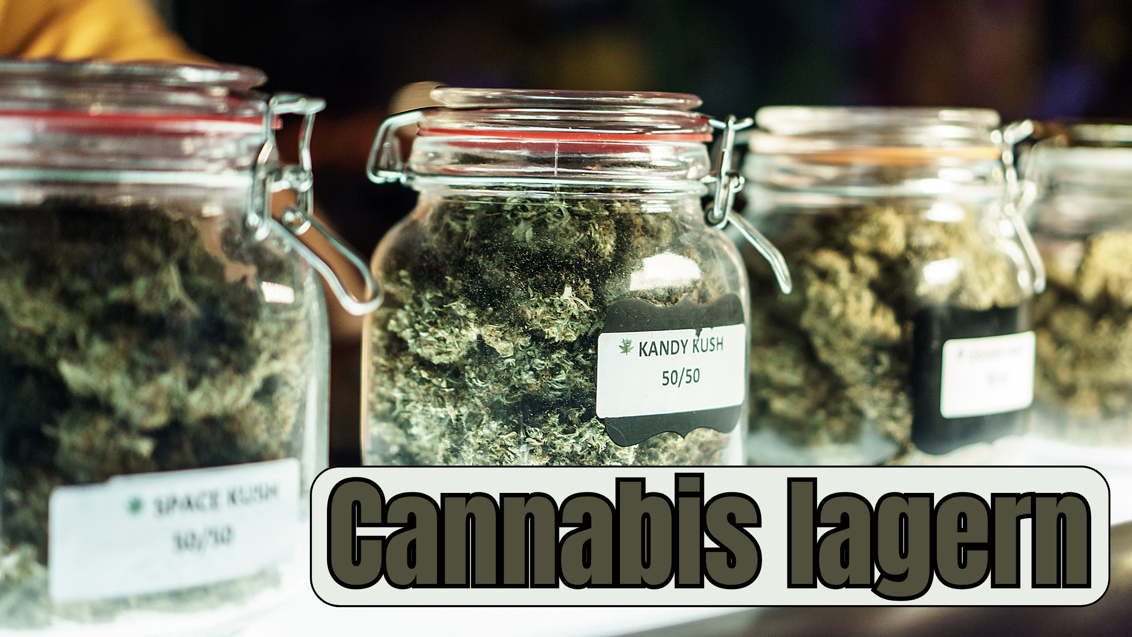 Cannabis richtig lagern