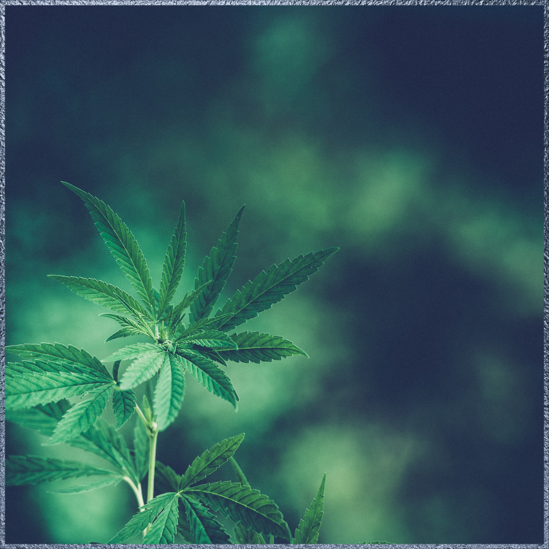 Topping und Lollipopping