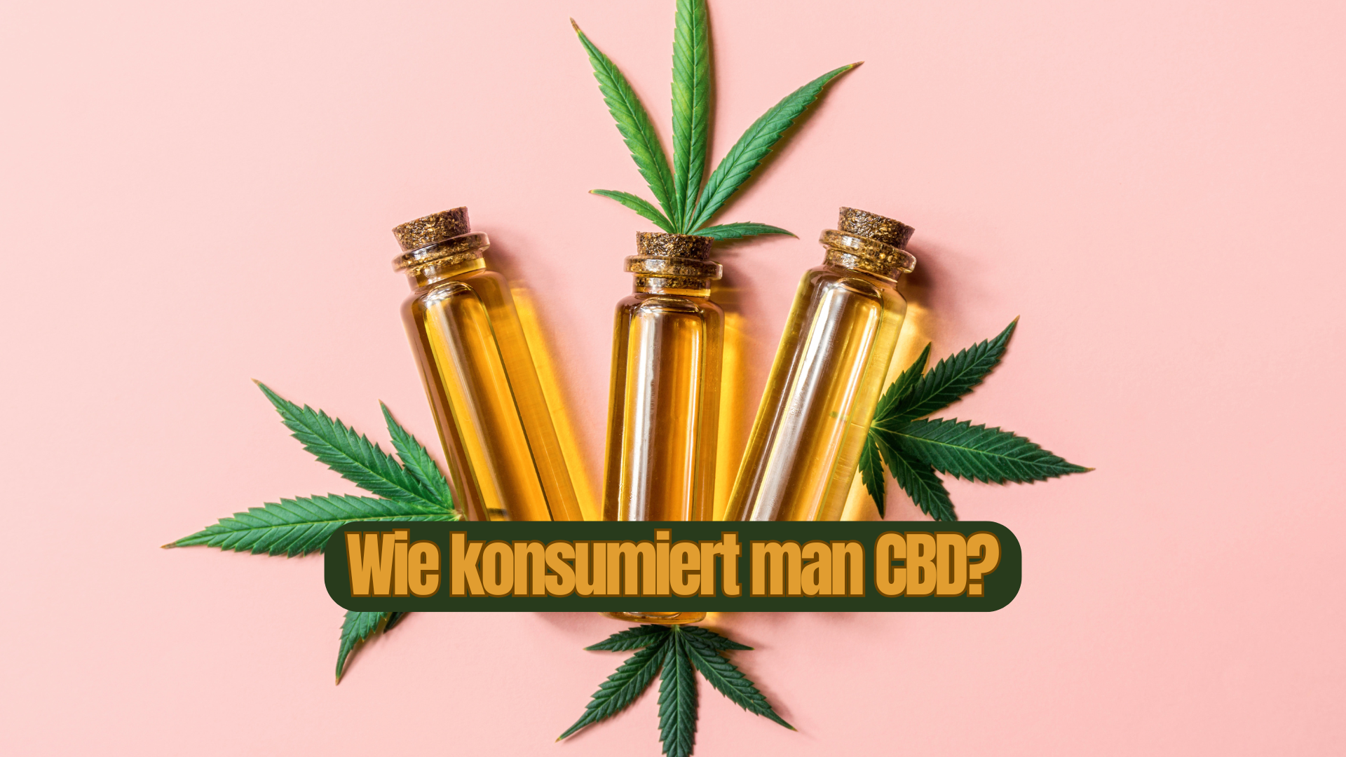 Wie konsumiert man CBD?
