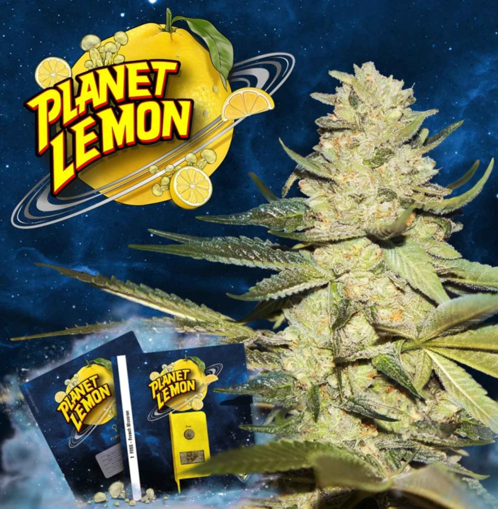 T.H. Seeds Planet Lemon Fem 2St.