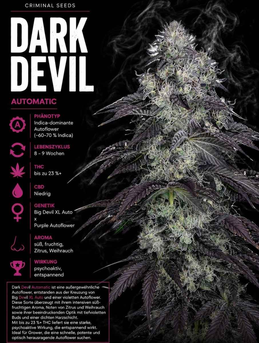 Criminal Seeds Dark Devil Auto Fem 3St.