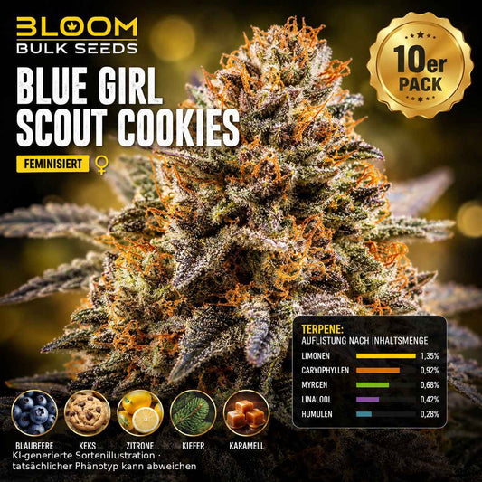 Bloom Bulk Seeds Blue Girl Scout Cookies Fem 10St.