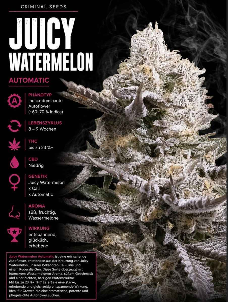 Criminal Seeds Juicy Watermelon Auto Fem 3St.